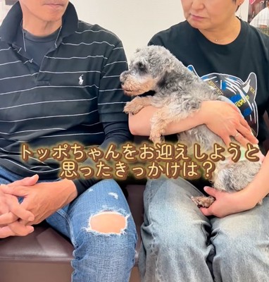 ご夫婦と犬