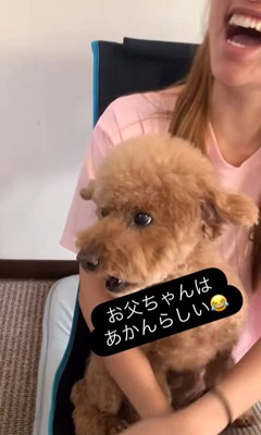 ドルくんの家族への態度の差⑩