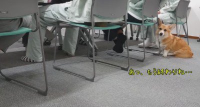 「もう終わりか…」