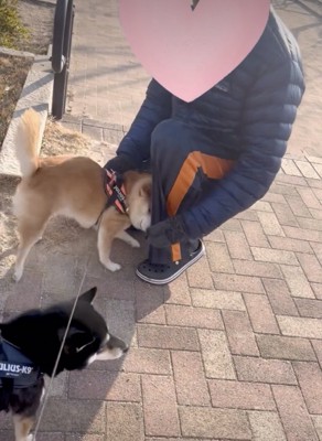 止まらないアピール