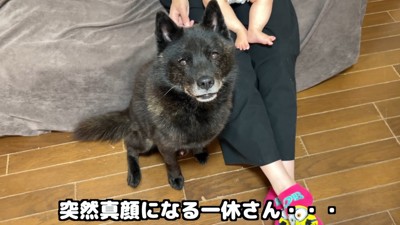 お風呂に誘ったら、急に真顔に！