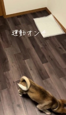 ここにあった!!