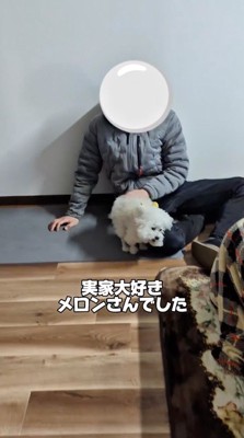 男性と遊ぶ犬