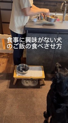 犬のごはんが入った器を振る飼い主