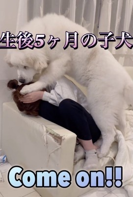 ひたすら耐える妹さん