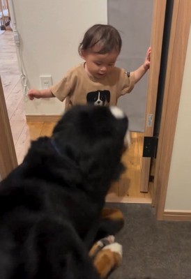 謎の言葉を放った赤ちゃん