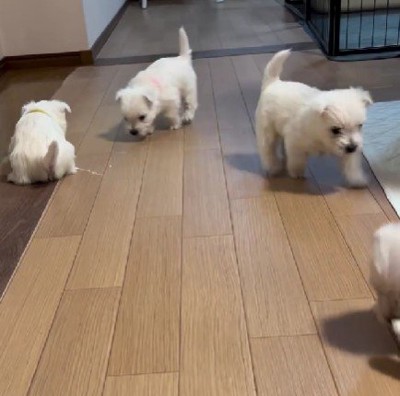 「なにがあるかな？」