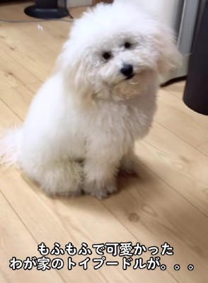 想定外の姿に！？