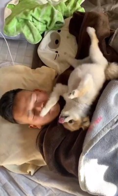 眠っている飼い主の胸の上で暴れる犬