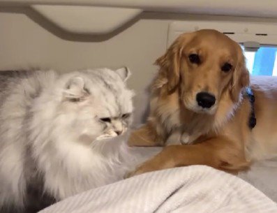 離れられない♡