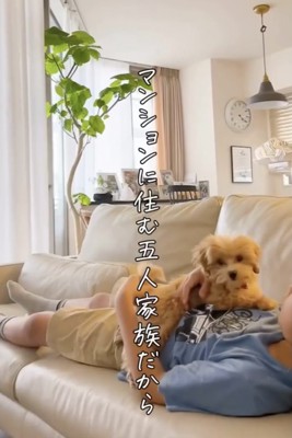 ぬいぐるみより小さなエルちゃん