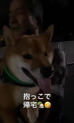 カンくんのお散歩拒否⑩