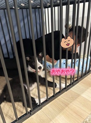 ルークくんと旦那さん4