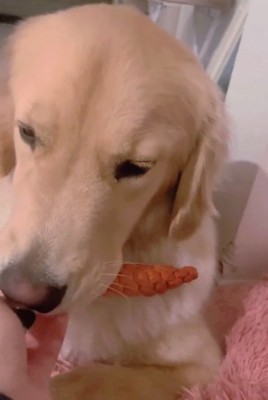 彼氏みたいなメルくん