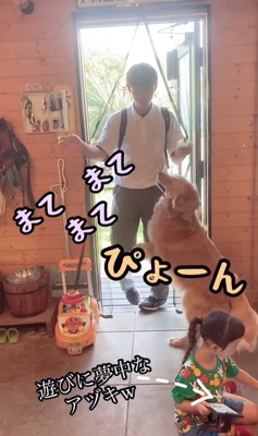 お兄ちゃん帰宅時のボスくん＆ルナちゃん2