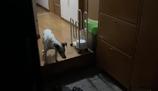 胸が痛む瞬間も…