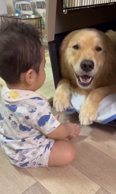 オレオくんと赤ちゃん5