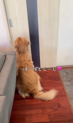 サンちゃんの熱烈歓迎4