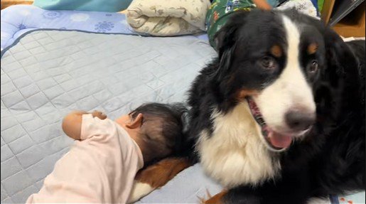 コロンと転がって…