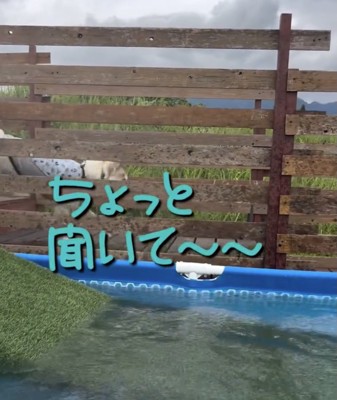 プールを後にするうみくん