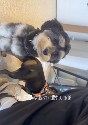 病院が苦手なめんまくん