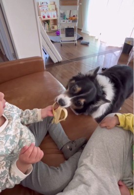 「皮付きだとダメみたい」