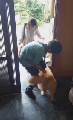 お兄ちゃんは再び帰省