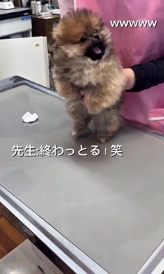 文句が止まらない！