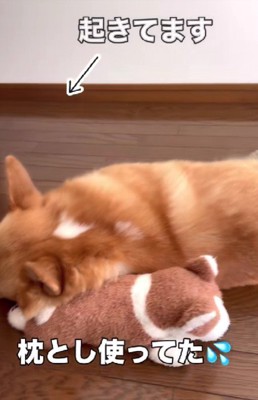 枕にしてしまうことも