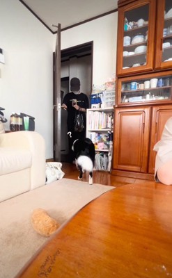 恐る恐る近づいて…