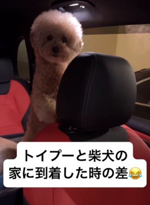 「早く家に入ろう！」