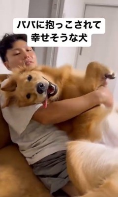 パパの抱っこにご満悦のオリーブちゃん