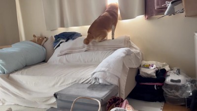 「おばあちゃんち行くの！？」