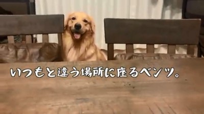 いつもと違う場所に座るベンツくん