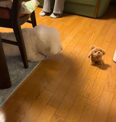 おもちゃの犬に困惑