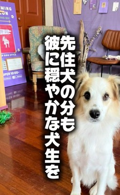 ダニエルくんとの数ヶ月間7