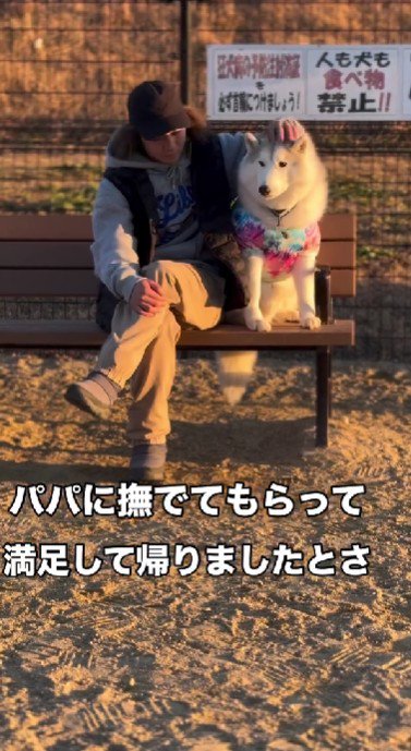 これがドッグランのだいご味♡