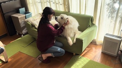 おばあちゃんが誘ってみることに
