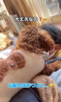 パパさんが熱でダウンした時のポポくん2