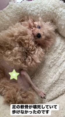 足が壊死して歩けない