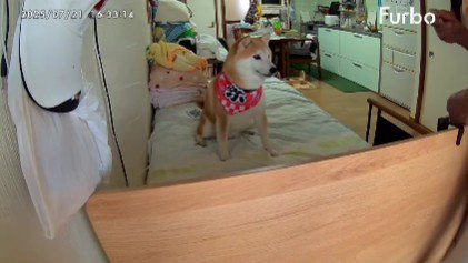 「ええけ〜こっちけ〜」