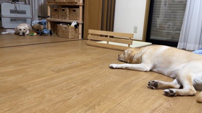 「やれやれ、やっと行ったか」
