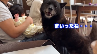困った笑顔の一休さん