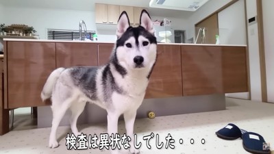 元気になったよ！！