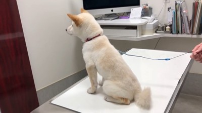 「先生、まだかな～？」