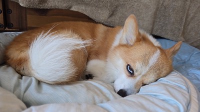 全力