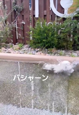 落ちてしまいました!