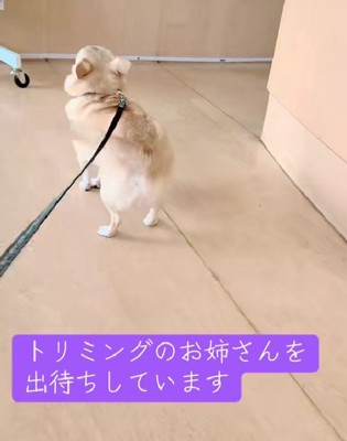 お姉さんを出待ち