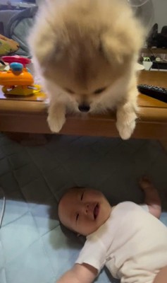 イクラちゃんと赤ちゃん8