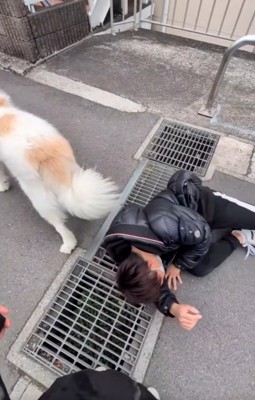 歩き出すそら君